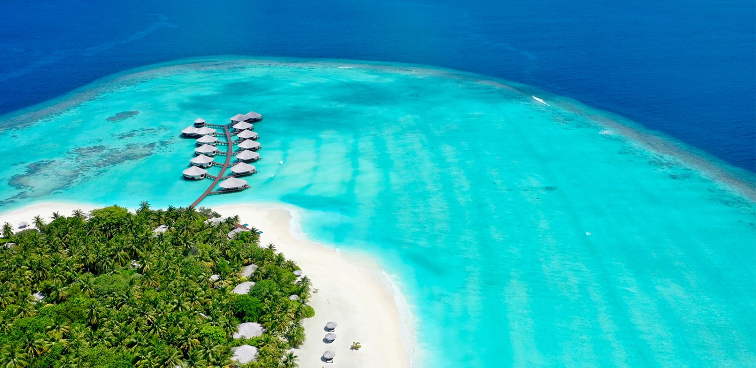 Kihaa Maldives: сезон мант начинается!